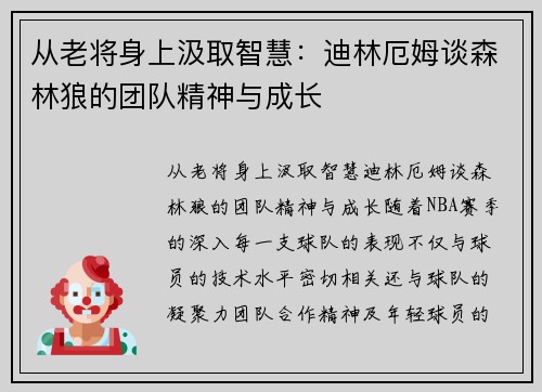 从老将身上汲取智慧：迪林厄姆谈森林狼的团队精神与成长